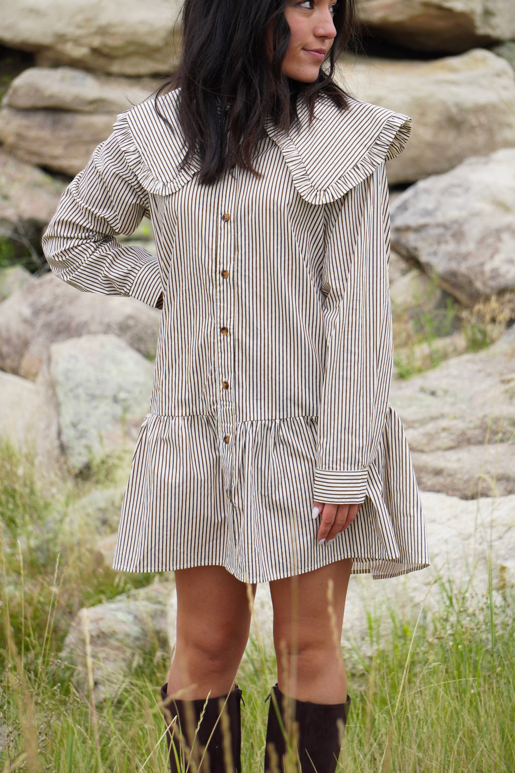 Stevie Stripe Buttondown Mini Dress