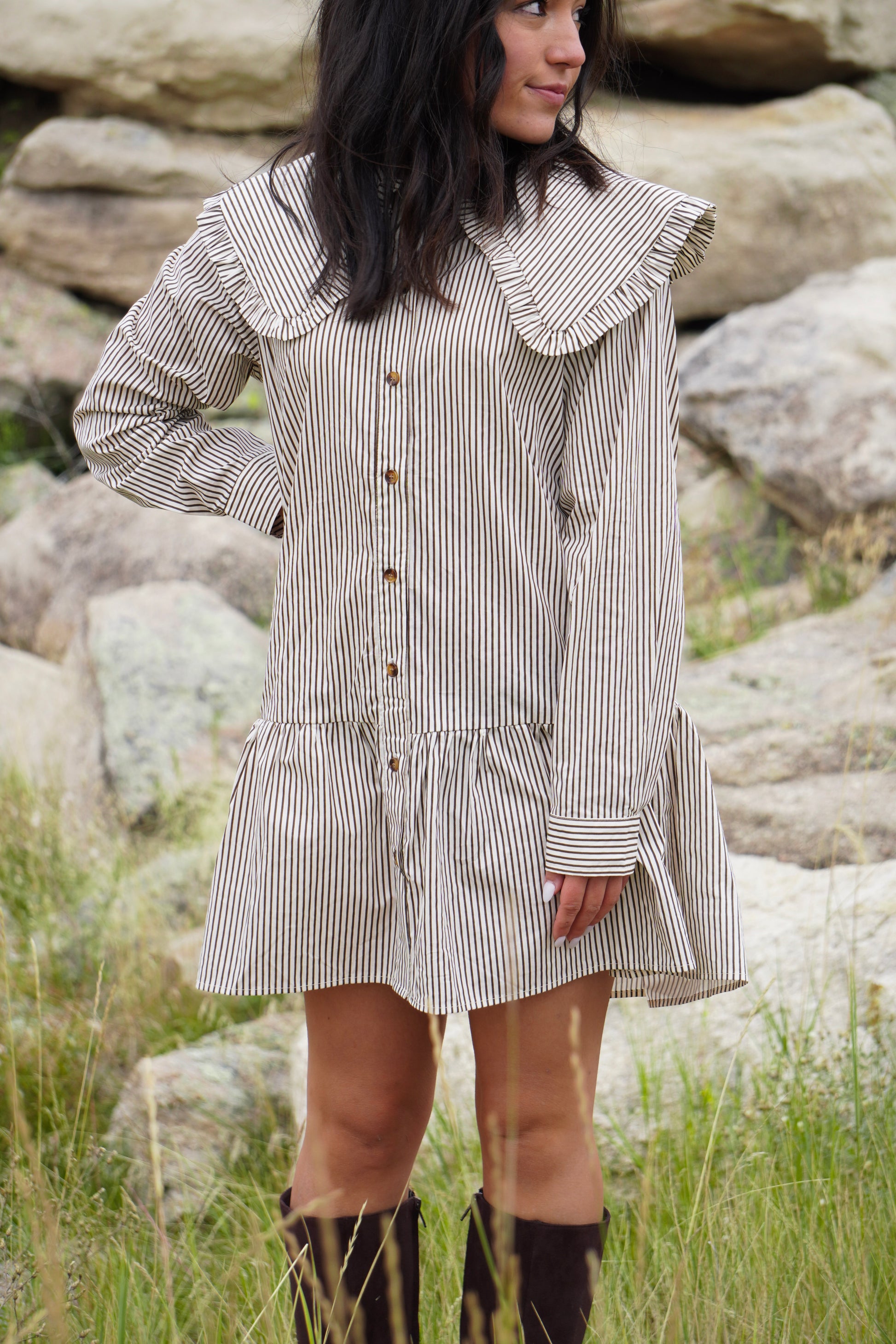 Stevie Stripe Buttondown Mini Dress