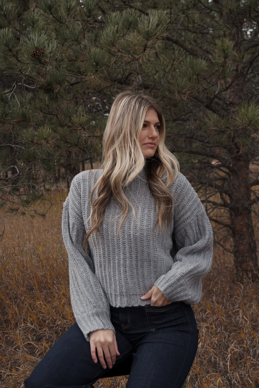 Brooke Knit Sweater In Grey