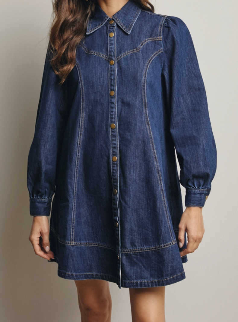 Willow Denim Mini Dress