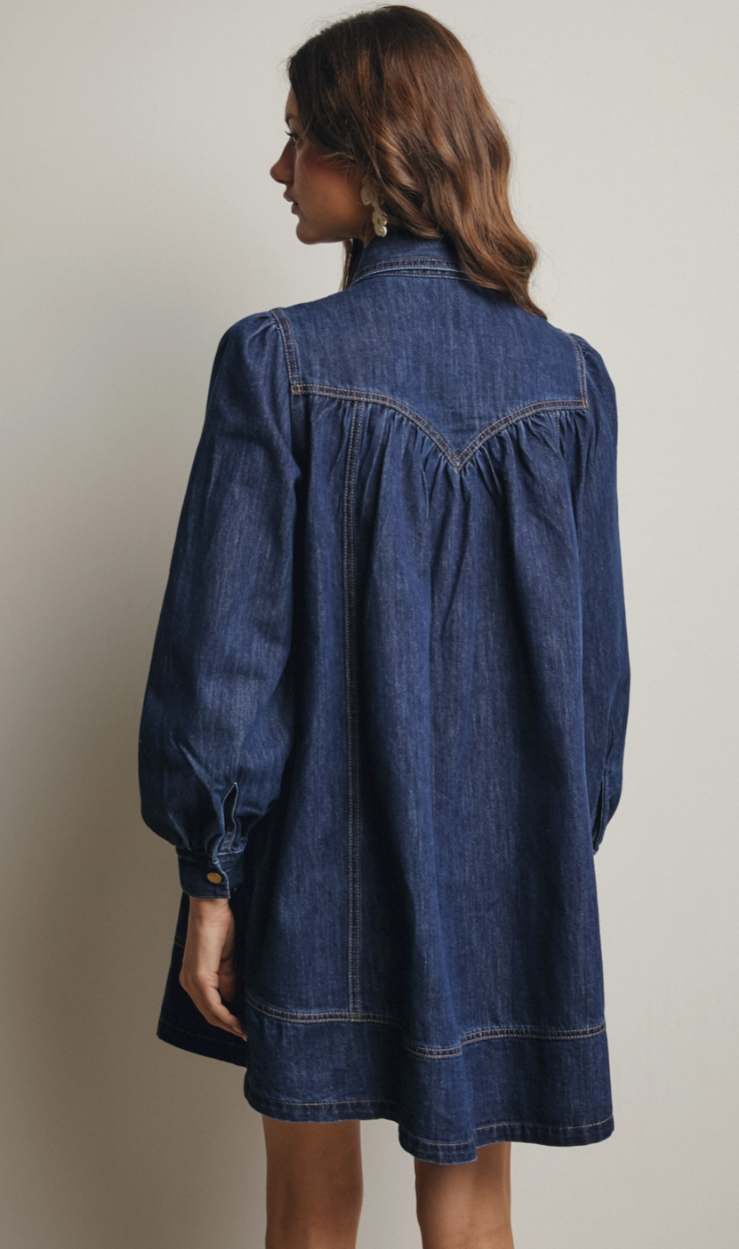 Willow Denim Mini Dress